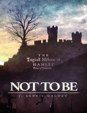 Cover of the book Not to Be by David Burrows