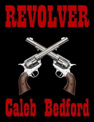 Cover of the book Revolver by Alexander Lőrincz