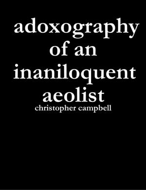 Cover of the book Adoxography of an Inaniloquent Aeolist by Rob Scott