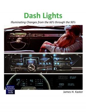 Cover of the book Dash Lights - Illuminating Changes from the 60’s Through the 90’s by M. James Ziccardi