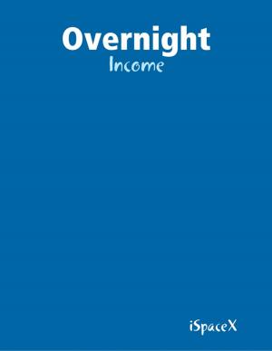 Cover of the book Overnight - Income by Tami Brady