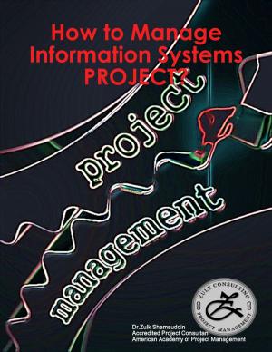 Cover of the book How to Manage Information Systems Project? by Michael Senoff