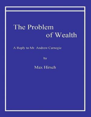 Book cover of The Problem of Wealth