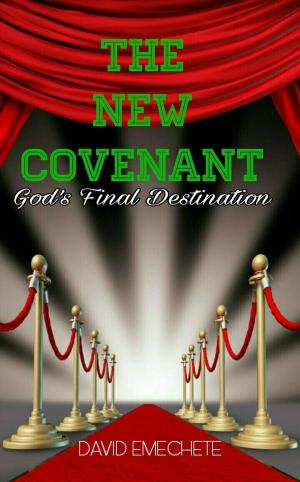 Cover of the book The New Covenant by Joe Kita