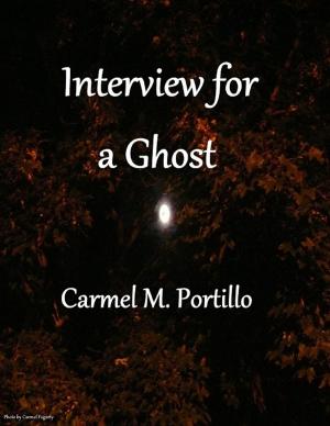 Cover of the book Interview for a Ghost by Bob Oros