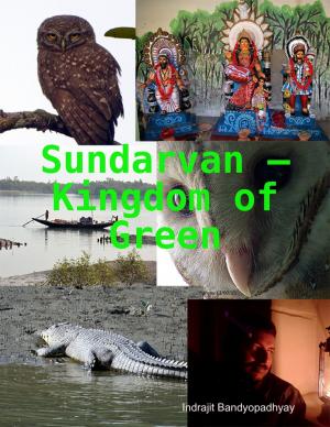 Cover of the book Sundarvan – Kingdom of Green by Gerrard Wilson