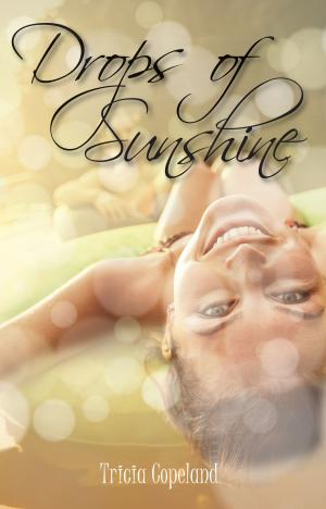 Book cover of Drops of Sunshine