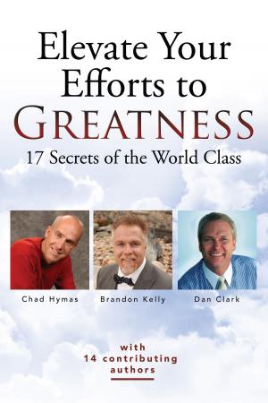 Book cover of Elevate Your Efforts to Greatness: 17 Secrets of the World Class
