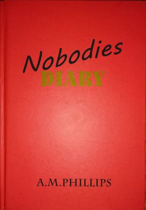 Book cover of Nobodies Diary