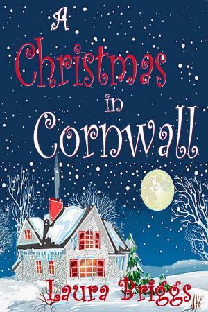 Cover of the book A Christmas in Cornwall by C. Hawthorne, G.B. Anders