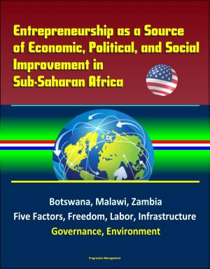 Cover of the book Entrepreneurship as a Source of Economic, Political, and Social Improvement in Sub-Saharan Africa: Botswana, Malawi, Zambia, Five Factors, Freedom, Labor, Infrastructure, Governance, Environment by Progressive Management