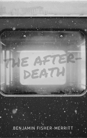 Cover of the book The After-Death by Victor Travison
