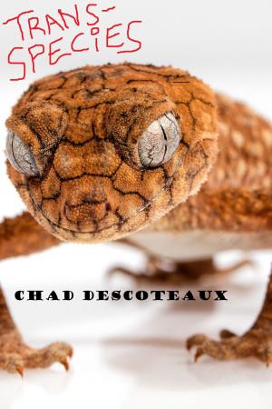 Cover of the book Trans-Species by Chad Descoteaux