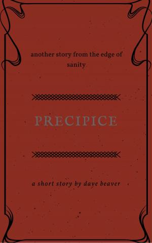 Cover of the book The Precipice by Clayton Meadows