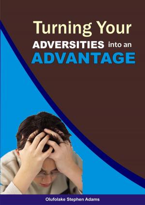 Cover of the book Turning your Adversities into an Advantage by Joseph Drumheller