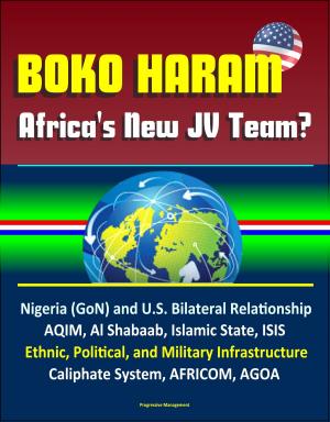 Cover of the book Boko Haram: Africa's New JV Team? Nigeria (GoN) and U.S. Bilateral Relationship, AQIM, Al Shabaab, Islamic State, ISIS, Ethnic, Political, and Military Infrastructure, Caliphate System, AFRICOM, AGOA by Progressive Management
