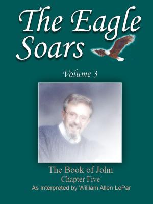 Book cover of The Eagle Soars: Volume 3; The Book of John, Chapter 5
