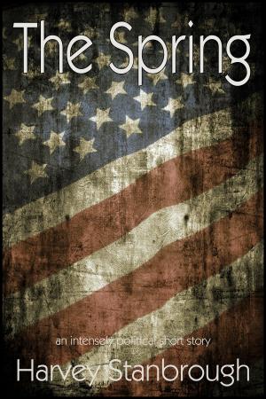 Cover of the book The Spring by Eric Stringer