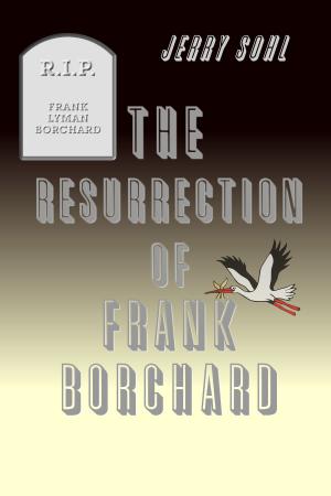 Cover of the book The Resurrection of Frank Borchard by Ian Stewart, Tim Poston
