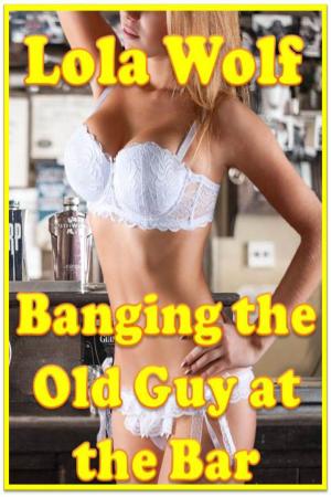 Cover of the book Banging the Old Guy at the Bar by Barbara Deloto