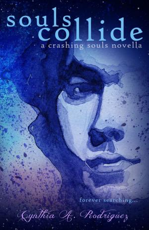 Cover of the book Souls Collide by Jennie Lucas