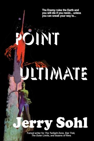 Cover of the book Point Ultimate by Biff America
