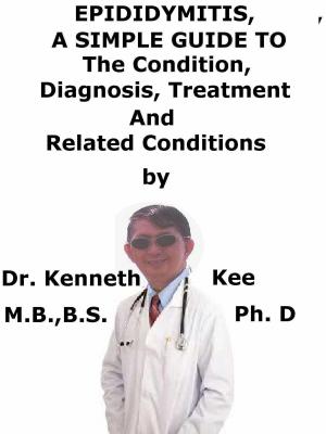 Book cover of Epididymitis, A Simple Guide To The Condition, Diagnosis, Treatment And Related Conditions