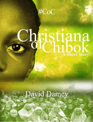 Book cover of Christiana Of Chibok