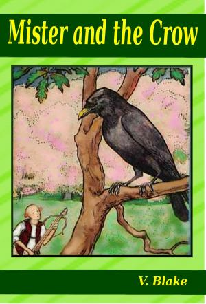 Cover of Mister and the Crow