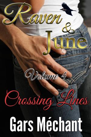 Cover of the book Raven and June: Volume 4, Crossing Lines by David Shaw