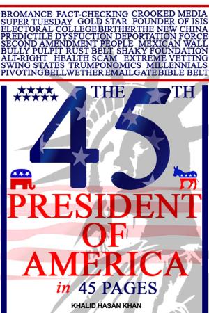 Book cover of The 45th President of America in 45 Pages