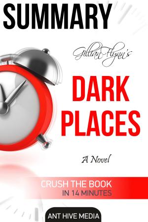 Book cover of Gillian Flynn's Dark Places | Summary