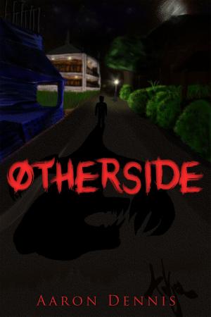 bigCover of the book Otherside by 