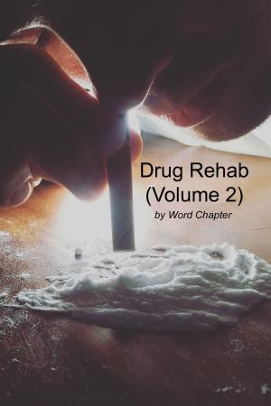Cover of Drug Rehab (Volume 2)
