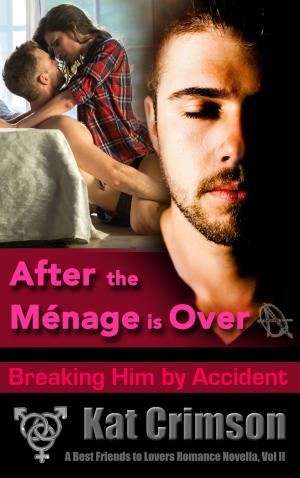 Cover of the book After the Ménage is Over: Breaking Him by Accident by Shelby Cross