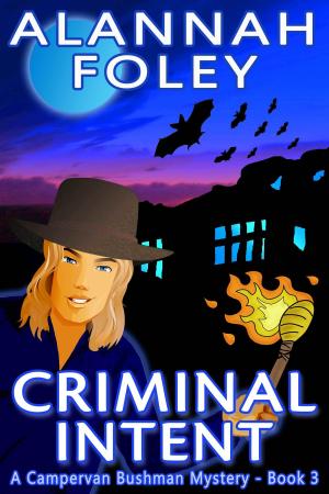 Cover of the book Criminal Intent by Alannah Foley