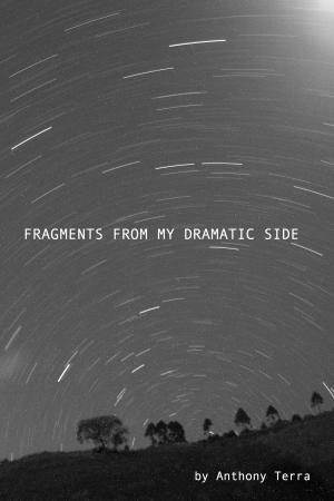 bigCover of the book Fragments From My Dramatic Side by 