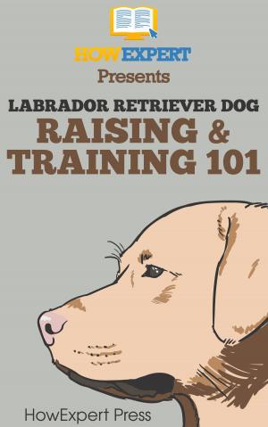 Book cover of Labrador Retriever Dog Raising & Training 101