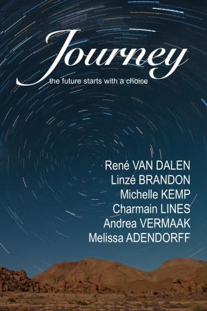 Cover of the book Journey by Manan sheel