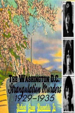 Book cover of The Washington D.C. Strangulation Murders 1929-1935