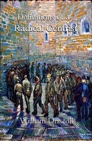 bigCover of the book Definitions of a Radical Centrist by 