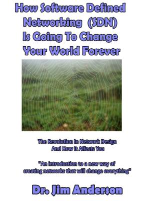 Cover of How Software Defined Networking (SDN) Is Going To Change Your World Forever: The Revolution In Network Design And How It Affects You