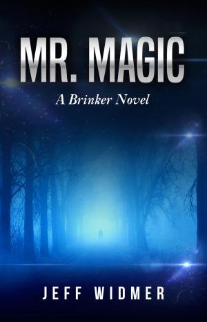 Cover of the book Mr. Magic by Jordan Dane
