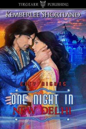 Cover of the book One Night in New Delhi by Dellani Oakes