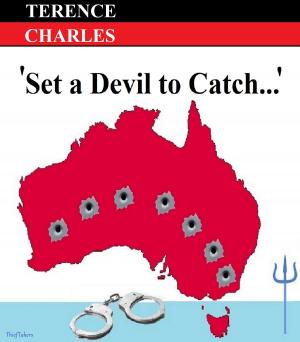 Book cover of Set a Devil to Catch...
