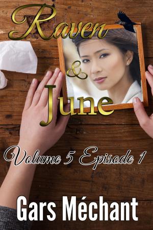 Cover of the book Raven and June: Volume 5, Episode 1 by Denyse Bridger