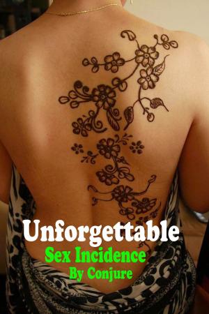 Cover of the book Unforgettable Sex Incidence by Kiera