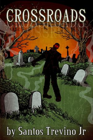 Cover of the book Crossroads by Shariann Lewitt