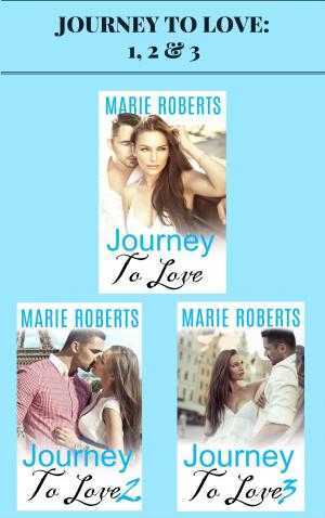Cover of the book Journey to Love: 1, 2 & 3 by Sasha Franks
