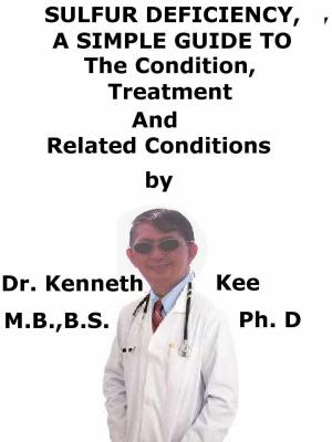 Cover of the book Sulfur Deficiency, A Simple Guide To The Condition, Treatment And Related Conditions by Kenneth Kee